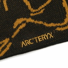 Arc'teryx Men's Bird Head Toque in 24K Black 