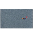 Polo Ralph Lauren Men's Winter Bear Scarf in Blue Heather