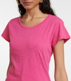 Velvet - Odelia cotton jersey T-shirt