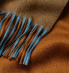 Loro Piana - Fringed Colour-Block Cashmere Scarf - Brown