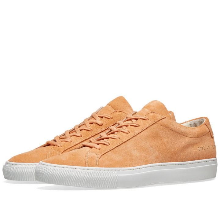 Photo: Common Projects Original Achilles Low Suede Orange