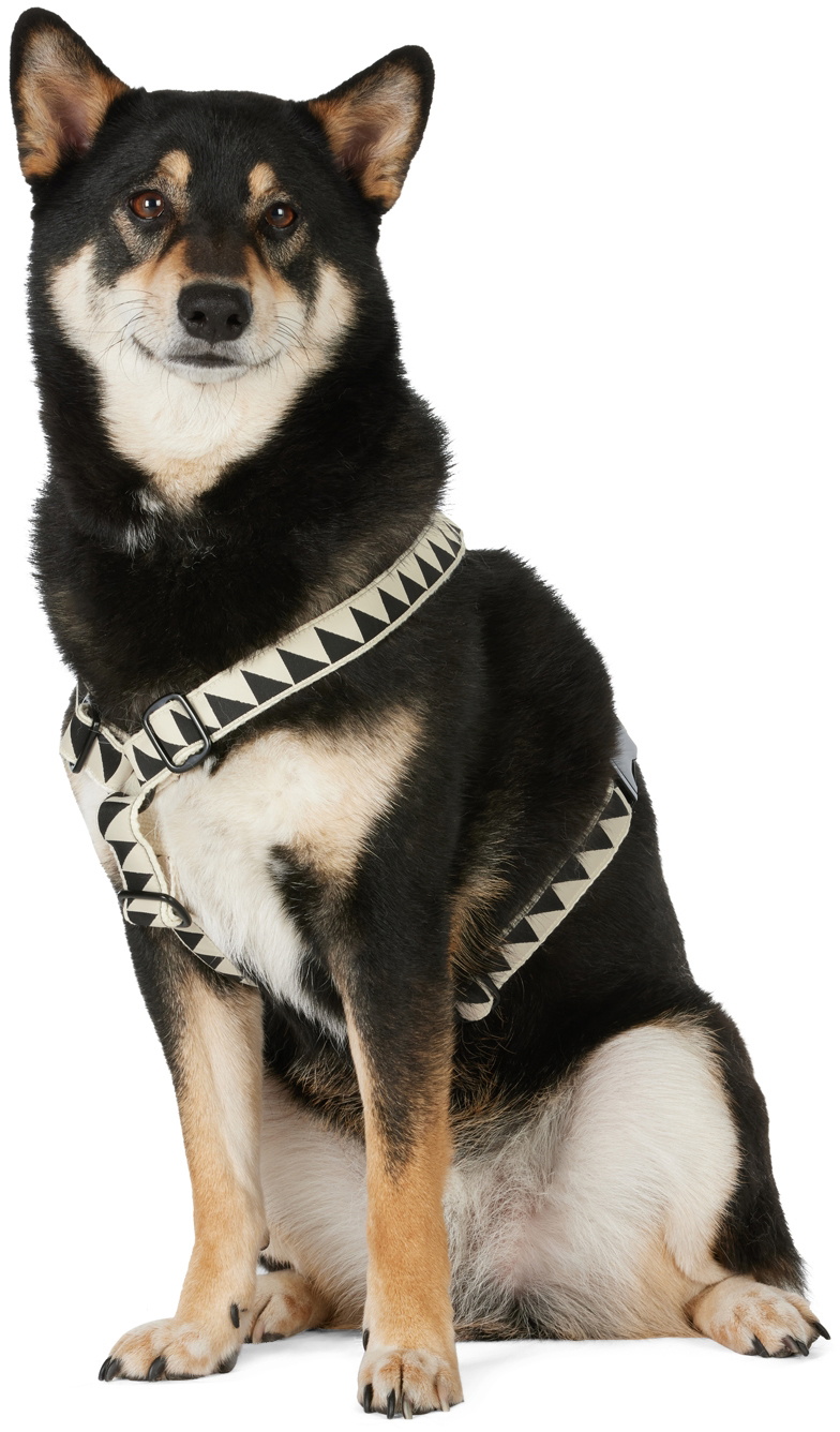 See Scout Sleep Off-White & Black Medium Nice Grill Standard Collar