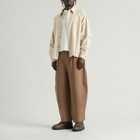 Gander Men's Cottonopolis Trousers in Cinammon