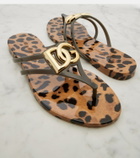 Dolce&Gabbana DG leopard-print thong sandals