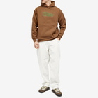 Dime Men's Classic Noize Hoodie in Brown