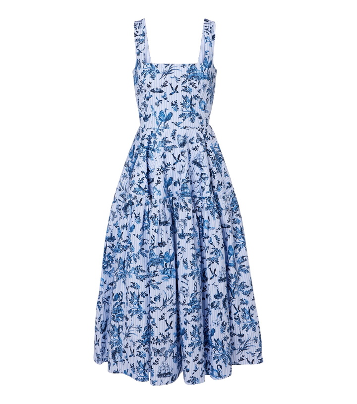 Photo: Erdem Striped printed cotton poplin midi dress