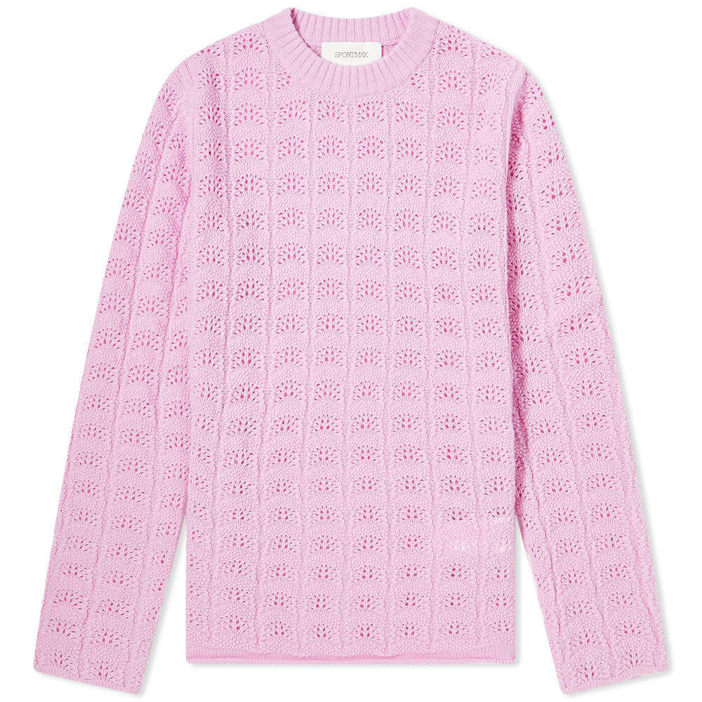 Sportmax Women's Long Sleeve Angio Sweater in Pink Sportmax