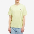Dickies Men's Mapleton T-Shirt in Pale Green