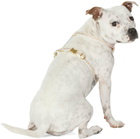 See Scout Sleep Beige & Gray Small Nice Grill Standard Harness