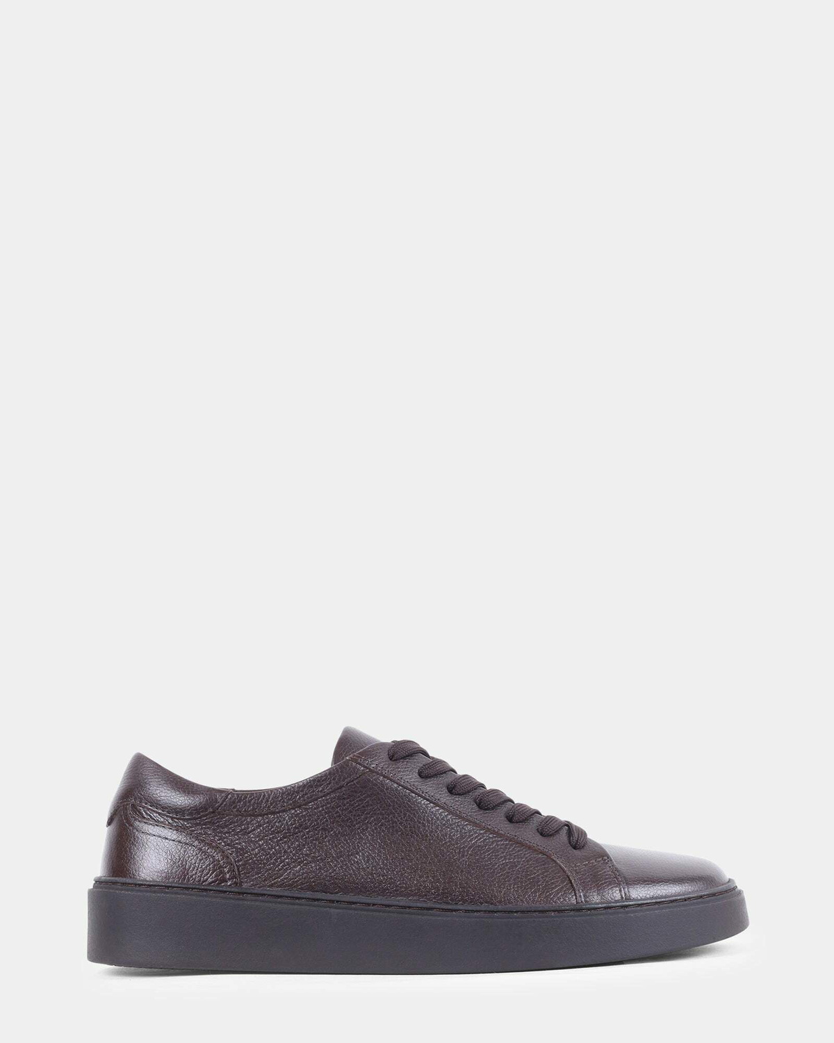Steve Madden Argo Sneakers in Brown