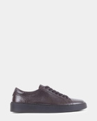 Steve Madden Argo Sneakers in Brown