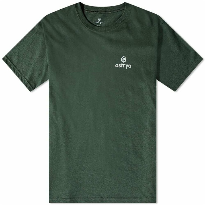 Photo: Ostrya Men's Core Logo Equi-Tee in Forest