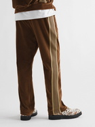 Needles - Webbing-Trimmed Cotton-Blend Velour Track Pants - Brown