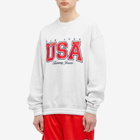 Tommy Jeans Men's Archive Games Team USA Sweatshirt in Silver Grey Htr