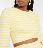 Zimmermann - Hide Tide striped crop top