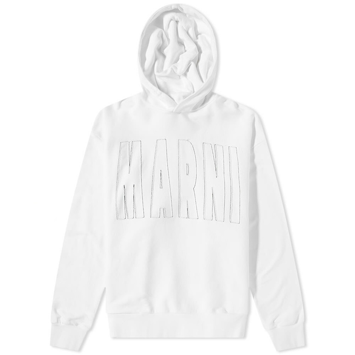 Photo: Marni Men's Cut & Sew Logo Hoody in Stone White