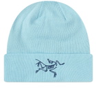 Arc'teryx Embroidered Bird Toque in Glissade
