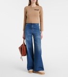 Chloé Dolcie shearling-trimmed ankle boots