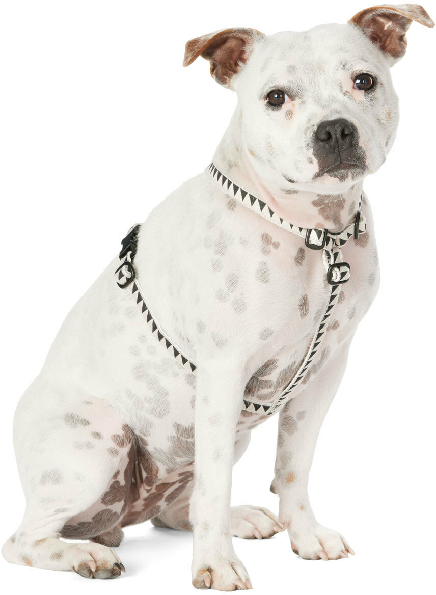 See Scout Sleep Beige & Black Small Nice Grill Standard Harness