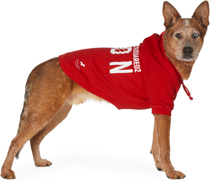 Photo: Dsquared2 Red Poldo Dog Couture Edition Icon Ottawa Hoodie