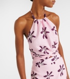 Cala de la Cruz Lodi floral halterneck linen crop top