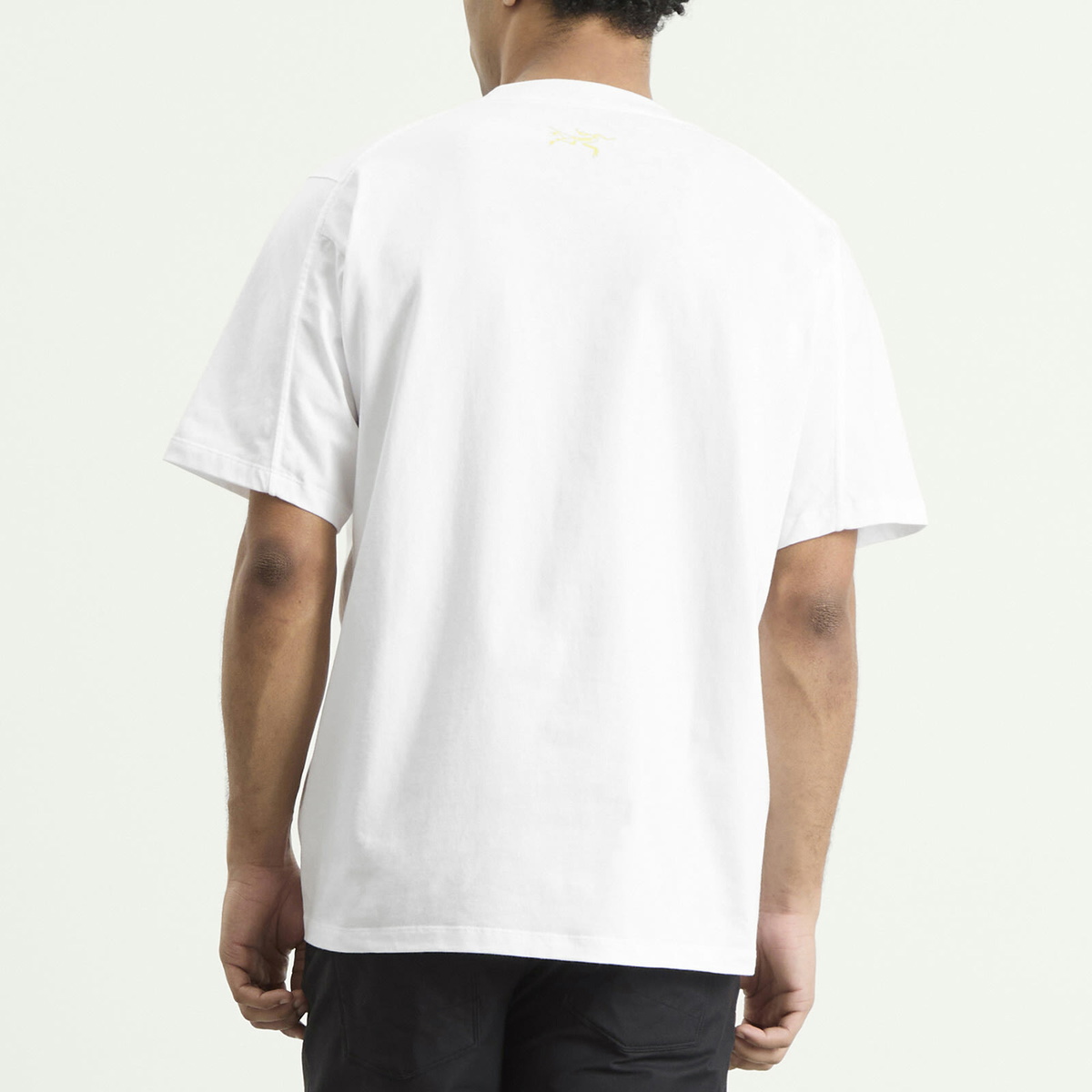 Arc'teryx Men's Kragg Cotton Lithographica T-Shirt in White Light