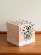 Loewe Perfumes - Oregano Medium Scented Candle, 610g