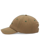 Dime Men's Split Low Pro Cap in Walnut 