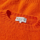 Shetland Woollen Co. Men's Shaggy Crew Knit in Pumpkin