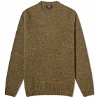 A.P.C. Lucas Brushed Alpaca Crew Knit in Heathered Green