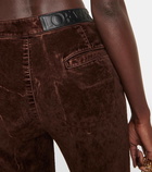 Loewe High-rise cotton-blend velvet pants