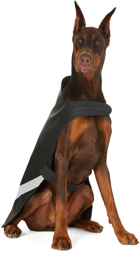 Photo: Stutterheim SSENSE Exclusive Black Lightweight Dog Raincoat