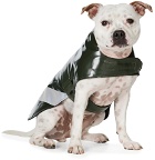Stutterheim SSENSE Exclusive Green Dog Raincoat