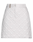 Peserico Womens Mini skirt in Grey