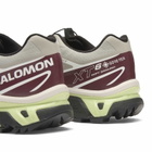 Salomon XT-6 GTX Sneaker in Paloma/Maroon Banner/Butterfly