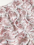 Atalaye - Ardea Short-Length Printed Recycled Swim Shorts - Red