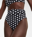 Alexandra Miro Ursula polka-dot bikini bottoms
