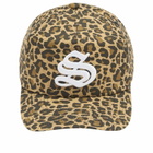 Sundays Men's Leopard S Cap in Brown 