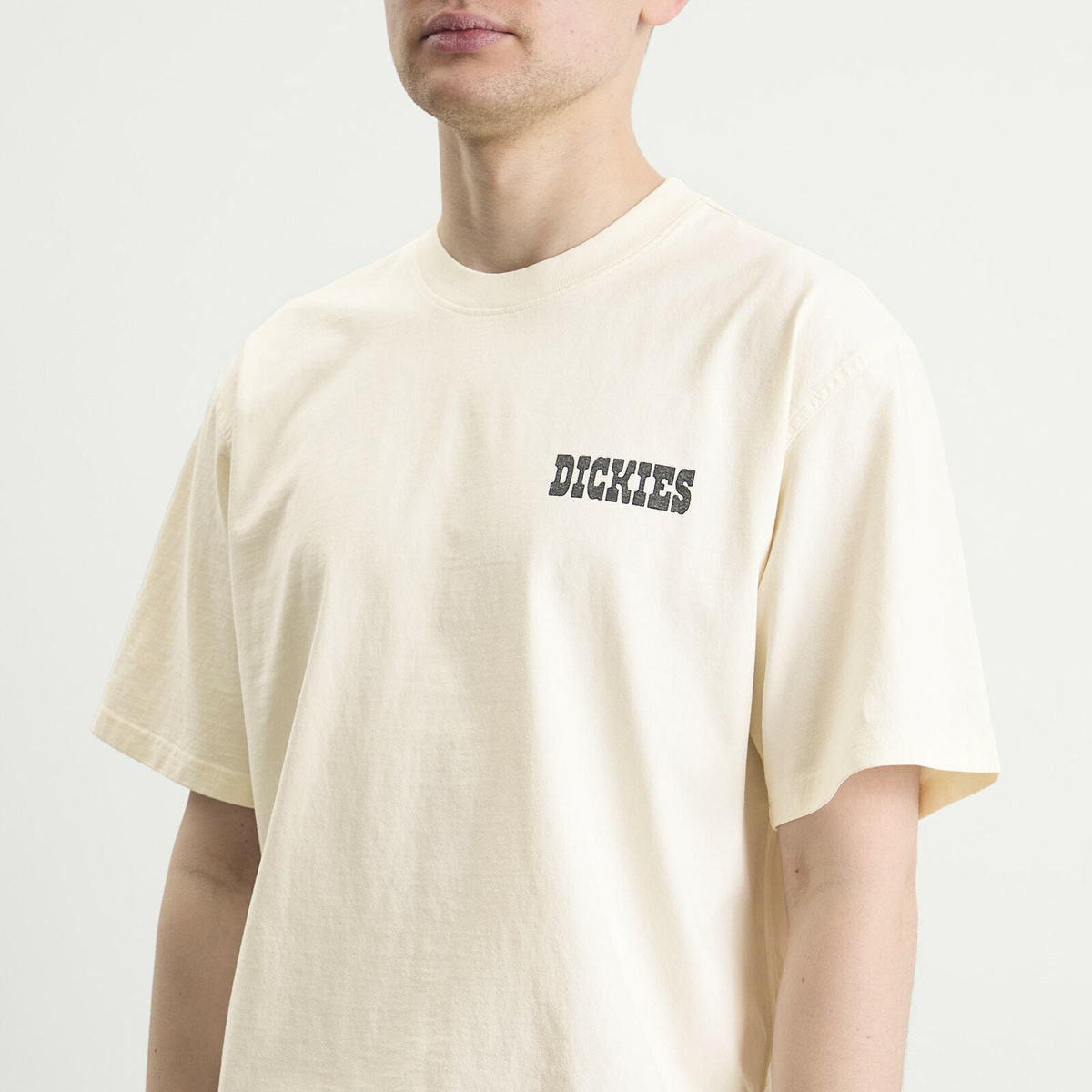 Dickies Men's Buchtell T-Shirt in Egret