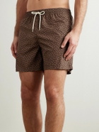 Massimo Alba - Kite Straight-Leg Mid-Length Polka-Dot Swim Shorts - Brown