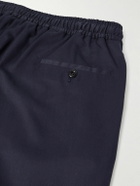 Rubinacci - Leisure Straight-Leg Pleated Silk-Twill Trousers - Blue