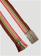 Zigzag Embroidery Belt in Multicolour