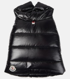 Moncler Genius - x Poldo Dog Couture dog coat