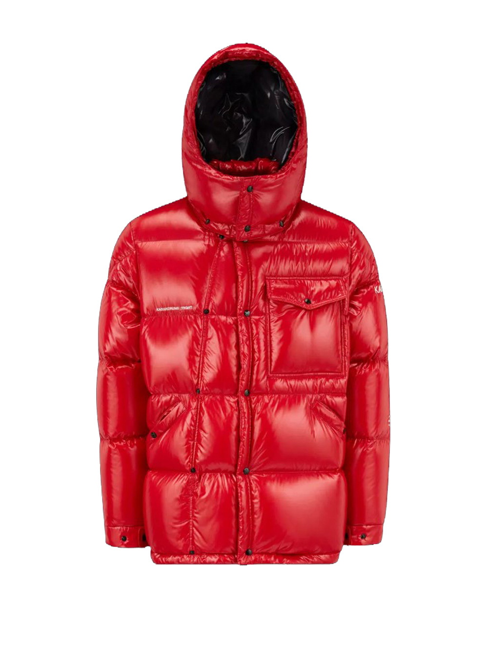 MONCLER GENIUS - Anthemium Down Jacket Moncler Genius