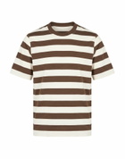 Circolo 1901 Mens T-shirt in Brown