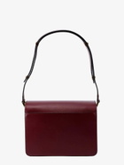 Marni   Trunk Bag Bordeaux   Womens