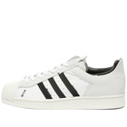 Adidas Superstar Reverse