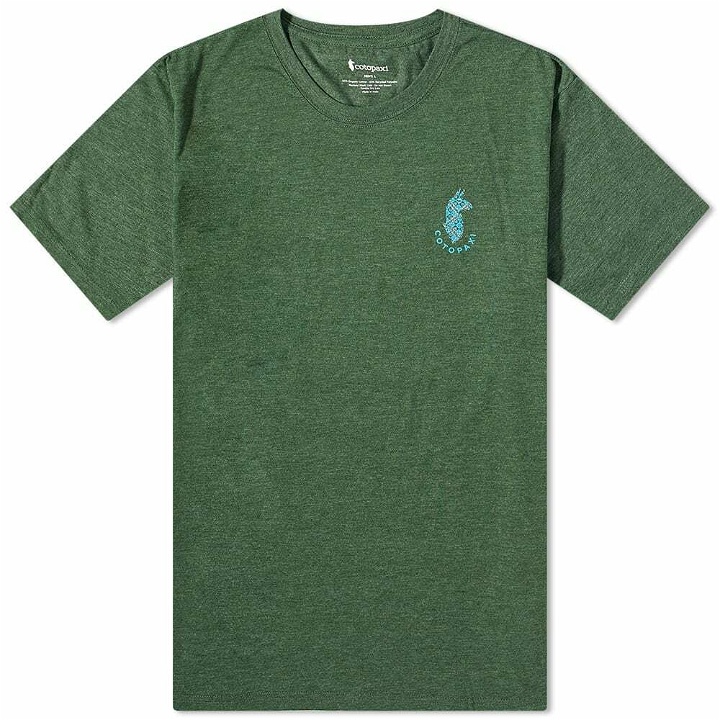 Photo: Cotopaxi Men's Llama Lover T-Shirt in Forest