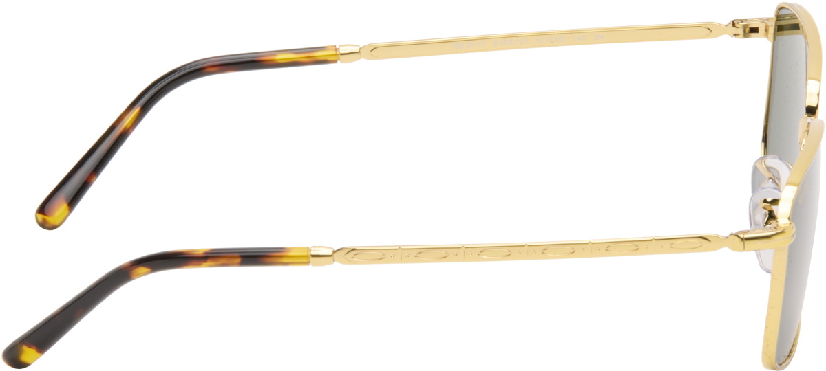 Ray-Ban Gold RB3717 Sunglasses