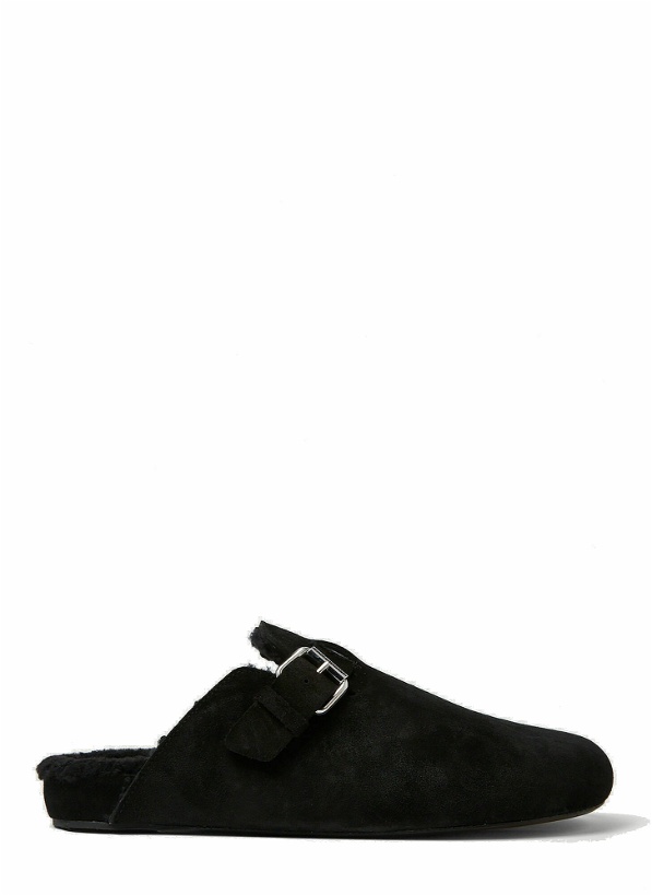 Photo: Mirvinh Shearling Mules in Black